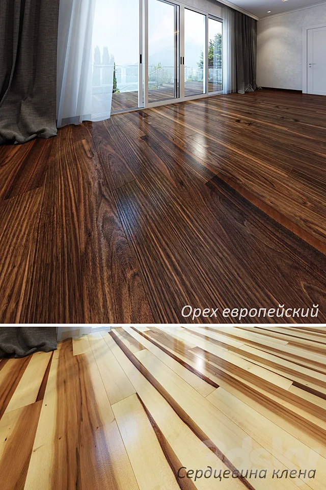 European walnut and maple core 3D Model European walnut and maple core 3D Model