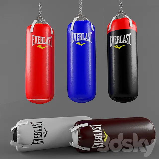 Everlast punching bags 3DModel