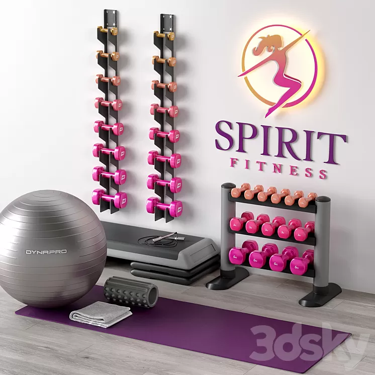 Excellent set for a fitness room. Sport equipment. Set 3D Model Free Download