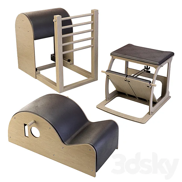 exercise machines Balanced body 3D Model