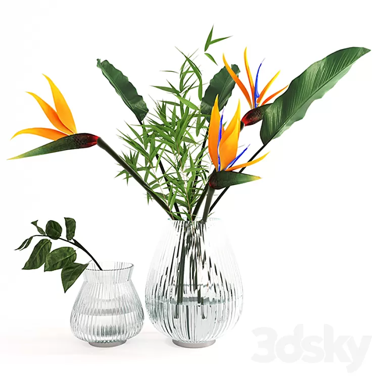 Exotic bouquet- strelitzia 3D Model