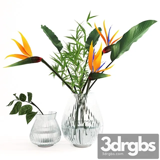 Exotic bouquet- strelitzia Exotic bouquet- strelitzia