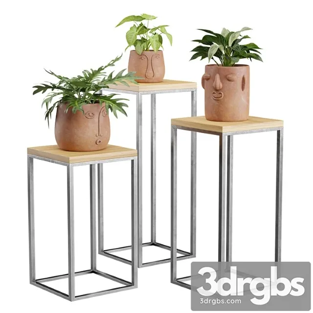 Facepot terracota plant set Facepot terracota plant set