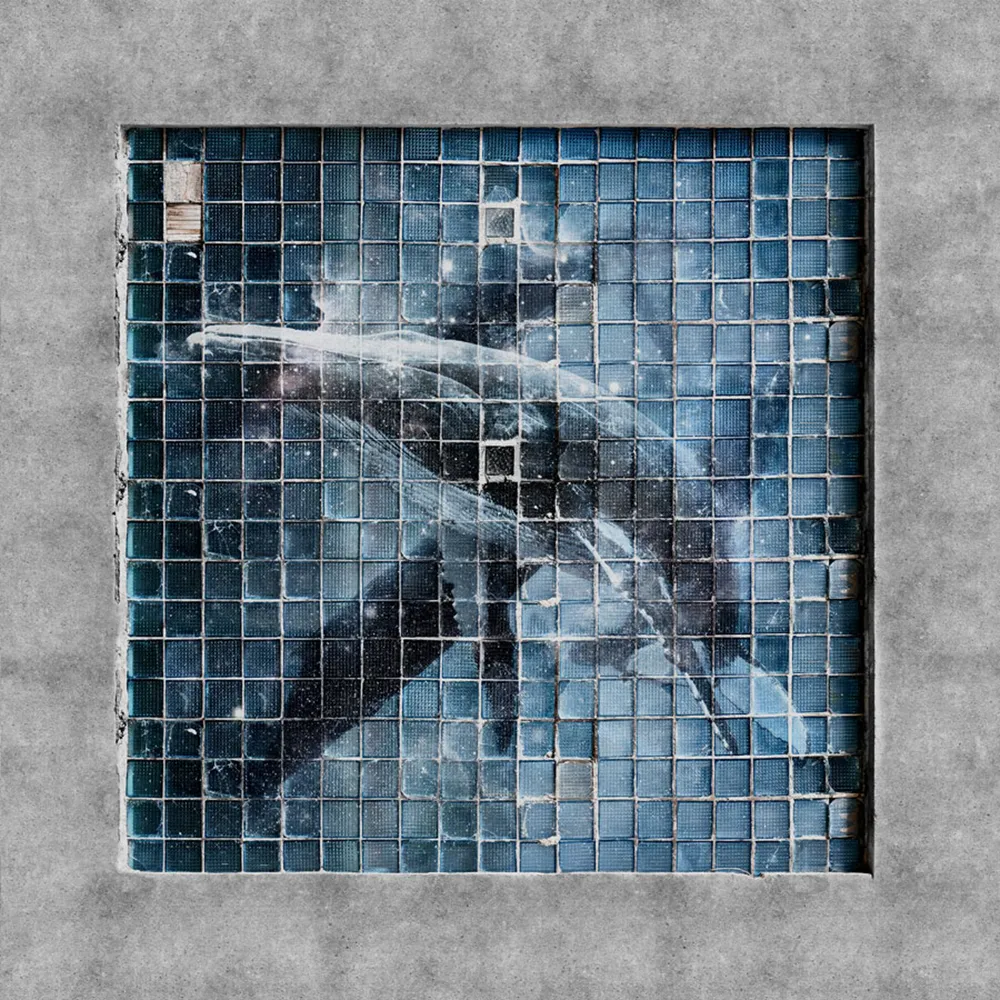 Factura – Blue whale 3D Model Factura – Blue whale 3D Model