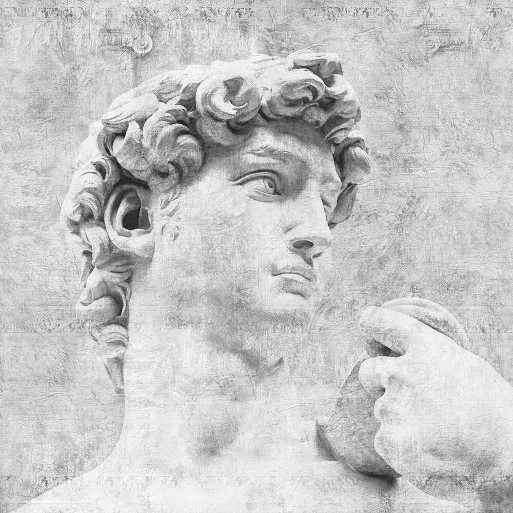 Factura – David 3D Model Factura – David 3D Model