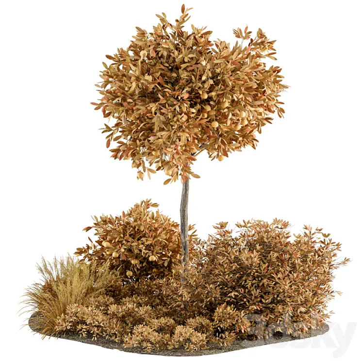Fall tree and Palm Bush – Outdoor Garden Set 321 3D Model Free Download