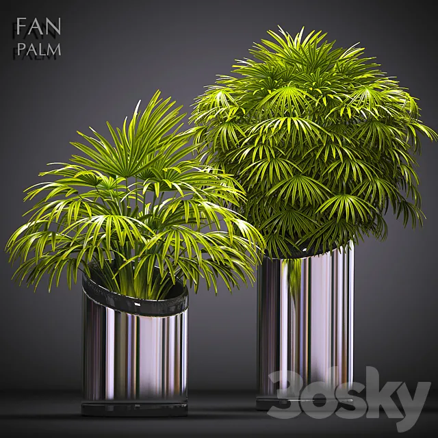 FAN PALM 53 3DModel FAN PALM 53 3DModel
