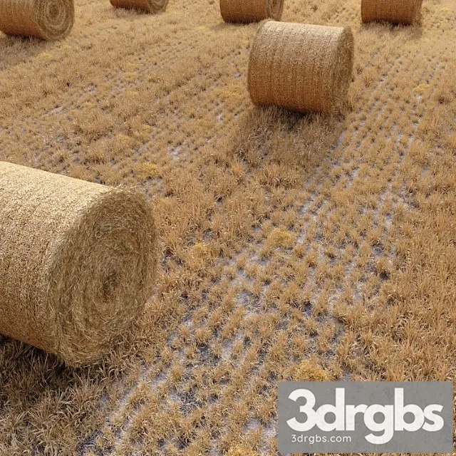 Farm field with hay bale Farm field with hay bale