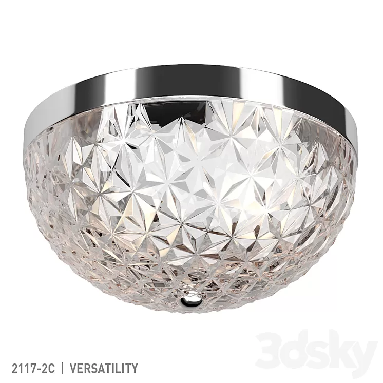 Favorite 2117-2C 3D Model