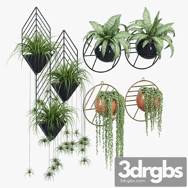 Fegan Dayne 3D Model Download