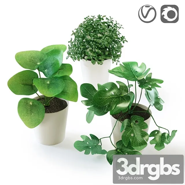 Fejka fake Fejka fake