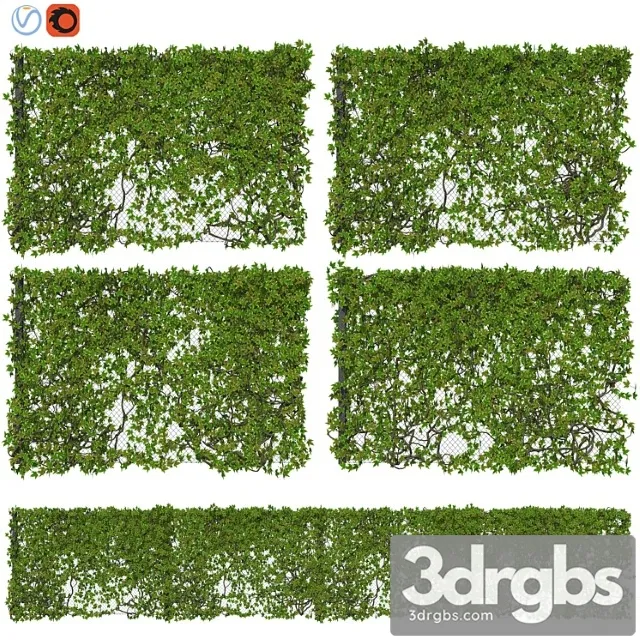 Fence with ivy v12 Fence with ivy v12