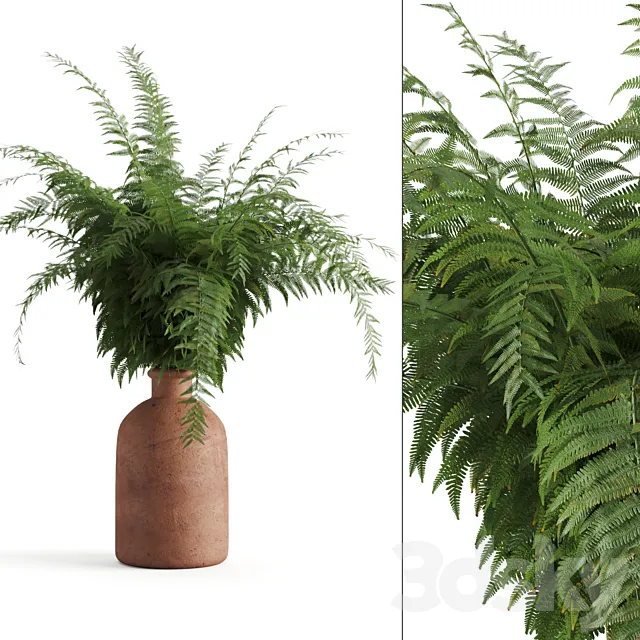 Fern in a clay vase 3DModel Fern in a clay vase 3DModel