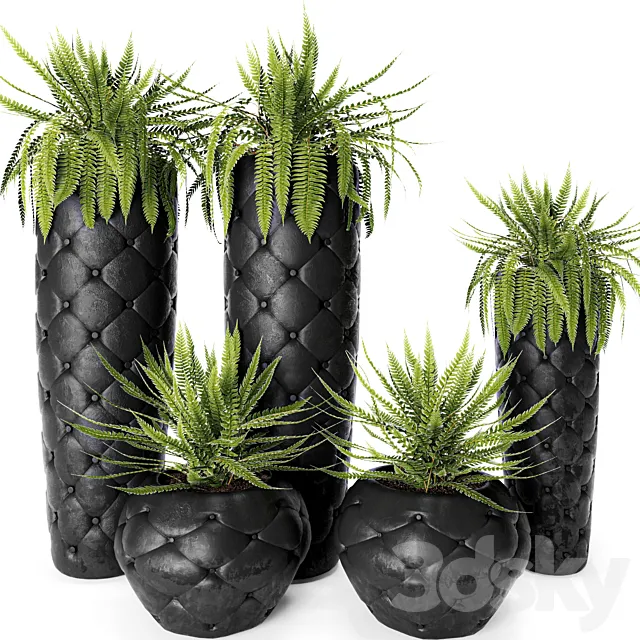 FERN + POTS Fleur Ami luxury flower pot flowerpot fern 3D Model FERN + POTS Fleur Ami luxury flower pot flowerpot fern 3D Model
