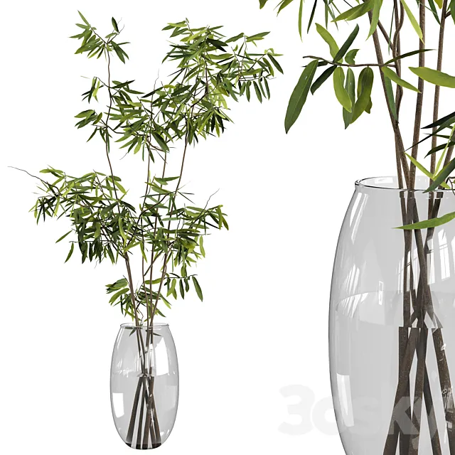 Ficus branches bouquet set 01 3DModel Ficus branches bouquet set 01 3DModel