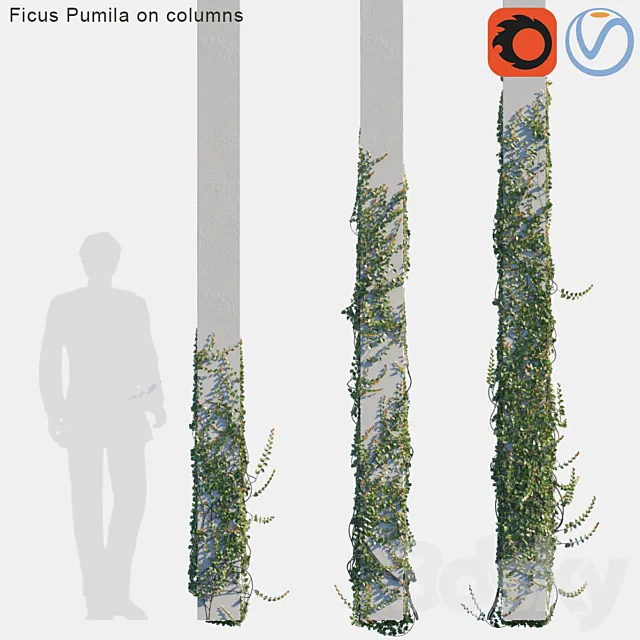Ficus Pumila on columns # 2 3D Model Ficus Pumila on columns # 2 3D Model