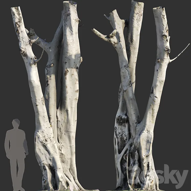 Ficus religiosa Tree Trunk 3D Model Free Download