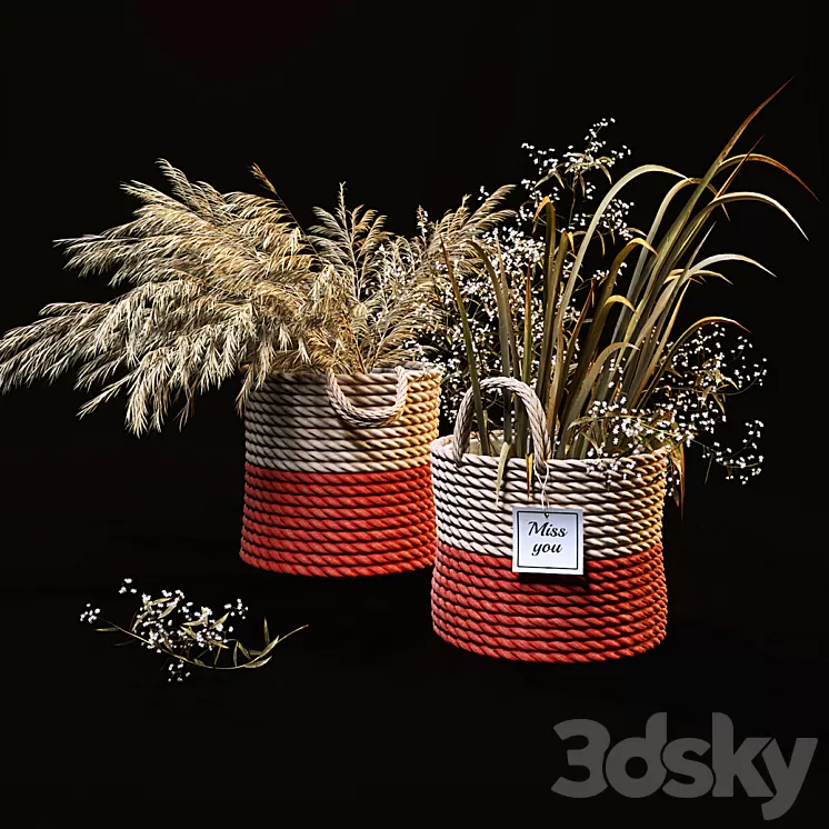 Field plants set 3D Model