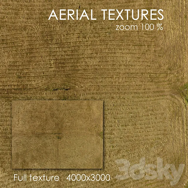 Field with grass 3D Model Field with grass 3D Model