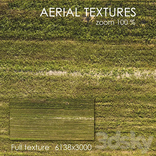 Field with grass 51 3D Model Field with grass 51 3D Model