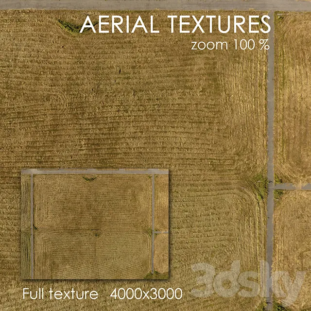 Field with grass 60 3D Model Field with grass 60 3D Model