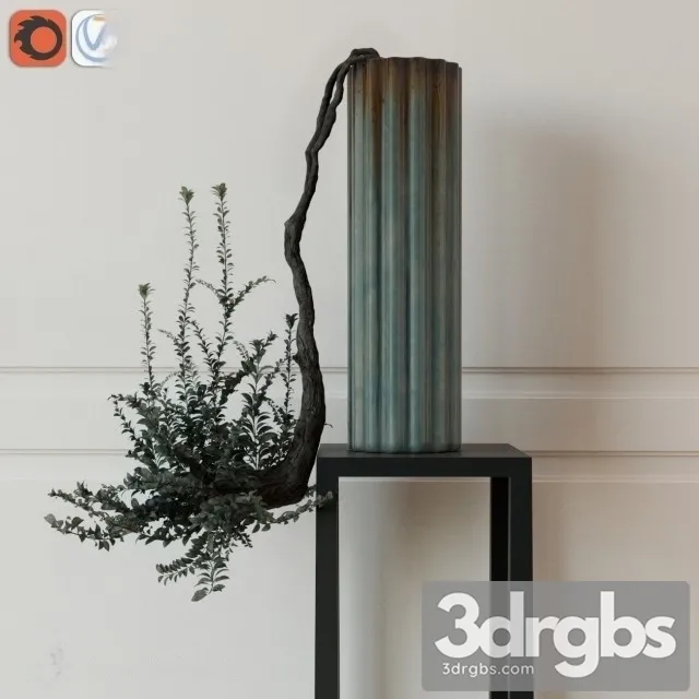 Fin Plant 3D Model Download Fin Plant 3D Model Download