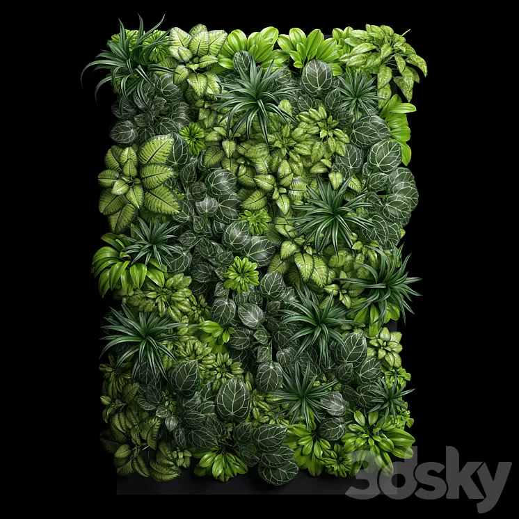 Fitostena 3D Model Fitostena 3D Model