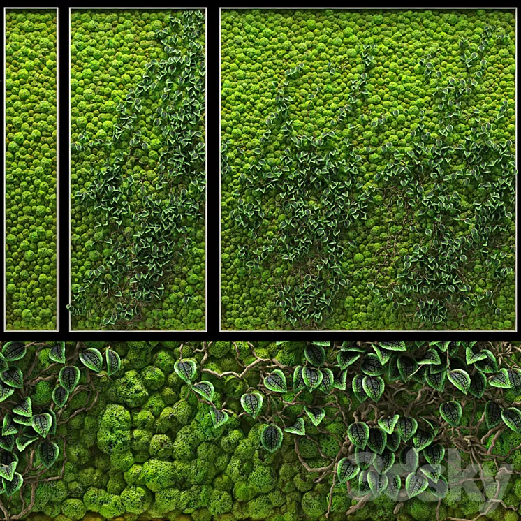 Fitowall 3D Model Fitowall 3D Model