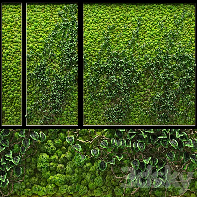 Fitowall 3DModel Fitowall 3DModel