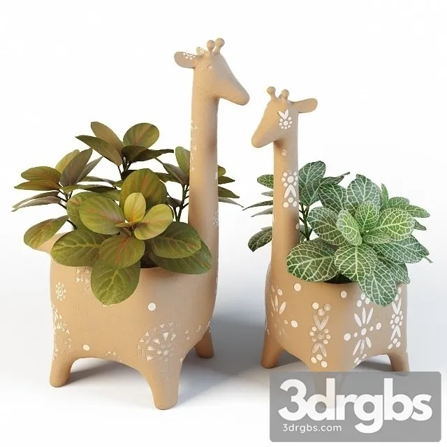 Fittonia Giraffe Pots 3D Model Download Fittonia Giraffe Pots 3D Model Download