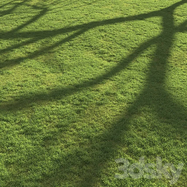 Flat grass 3D Model Flat grass 3D Model