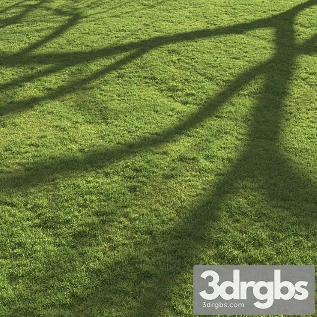 Flat grass Flat grass