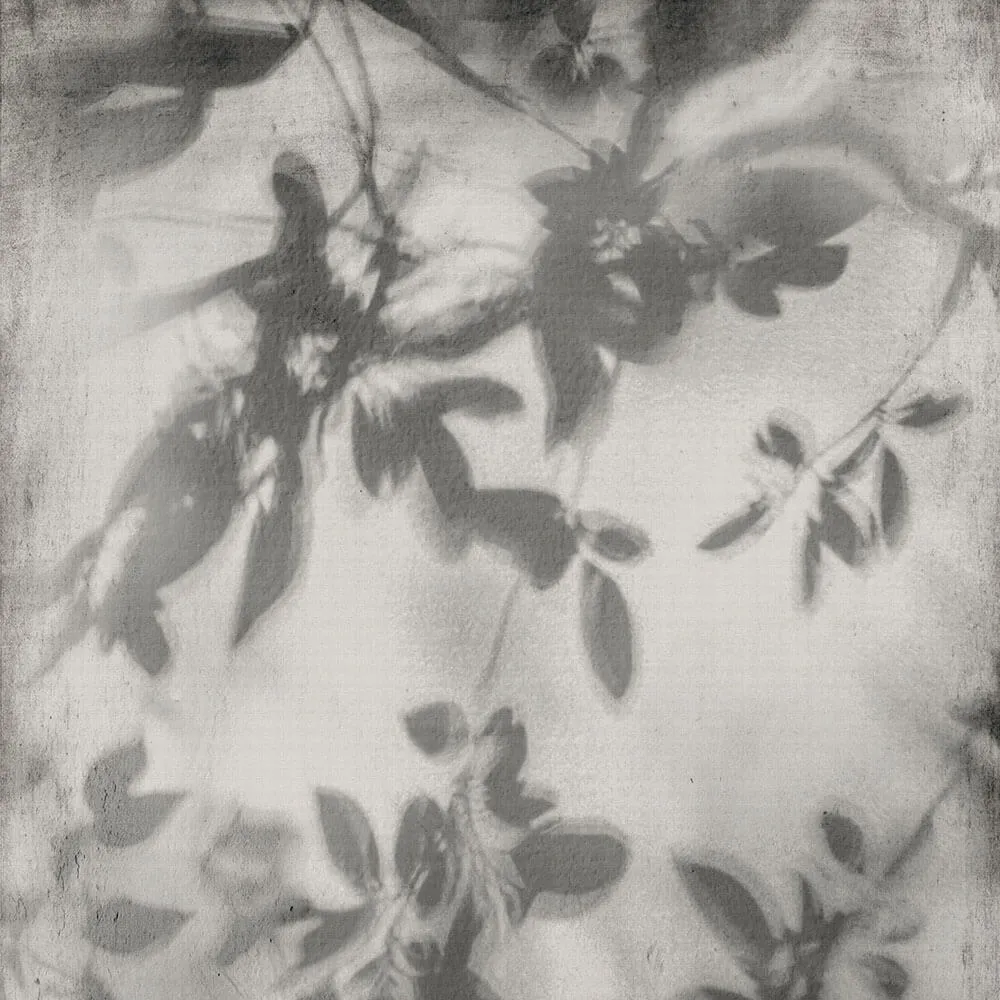 Flaviker – Porcelain slabs Shadow 3D Model Flaviker – Porcelain slabs Shadow 3D Model