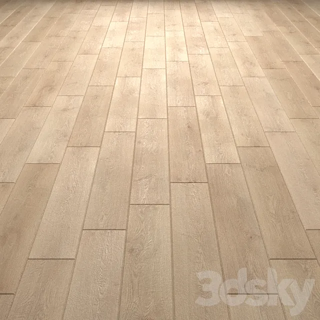Floor Parquet Laminate 3DModel