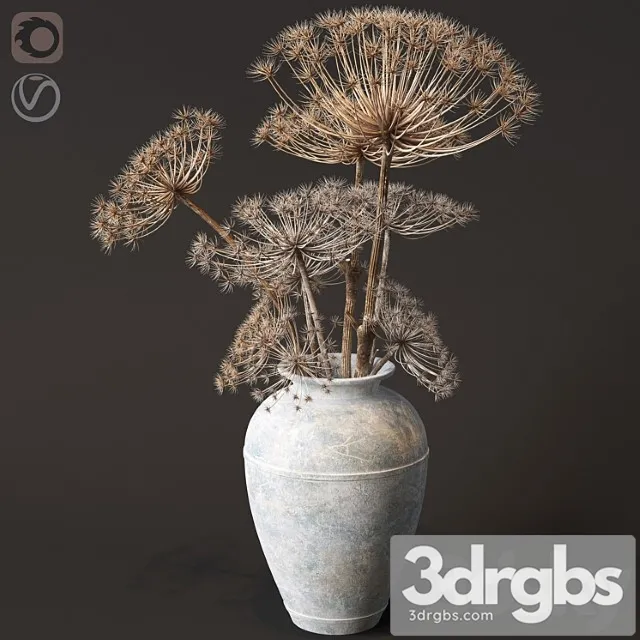 Floor vase with dry hogweed Floor vase with dry hogweed