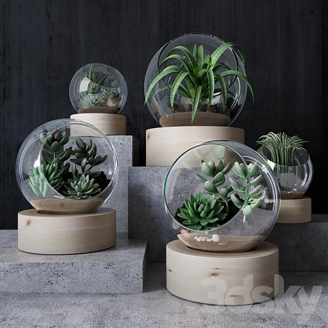 Florarium 3D Model Florarium 3D Model