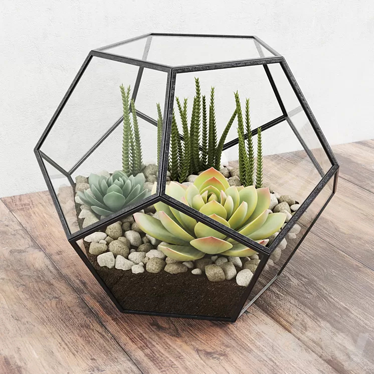 Florarium 3D Model Florarium 3D Model