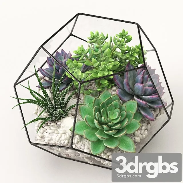 Florarium (competition)