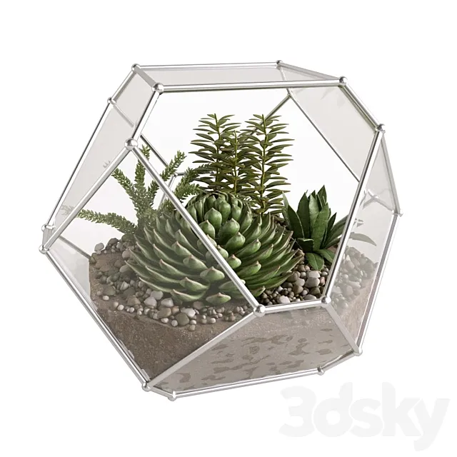 Florarium with succulents 3D Model Florarium with succulents 3D Model