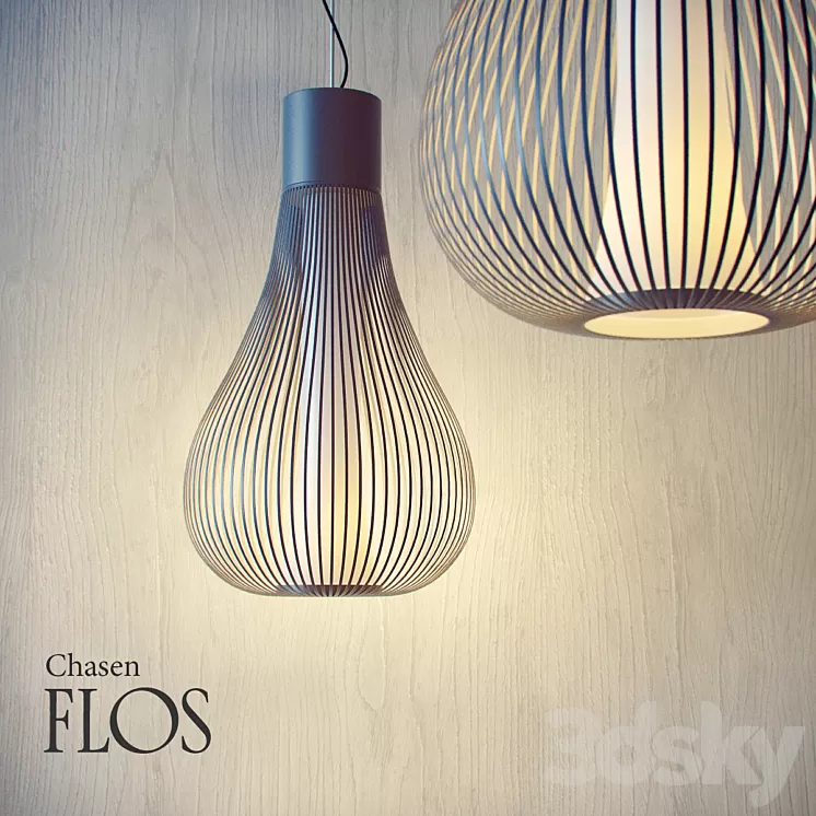 Flos-Chasen 3D Model Flos-Chasen 3D Model