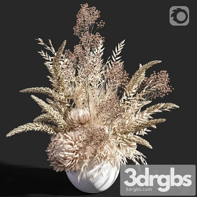 Flower 04 dry flowers Flower 04 dry flowers