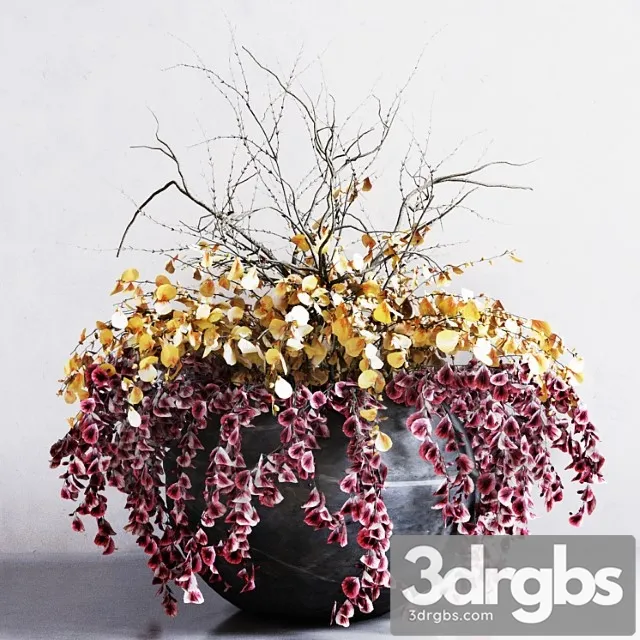 Flower bed Flower bed