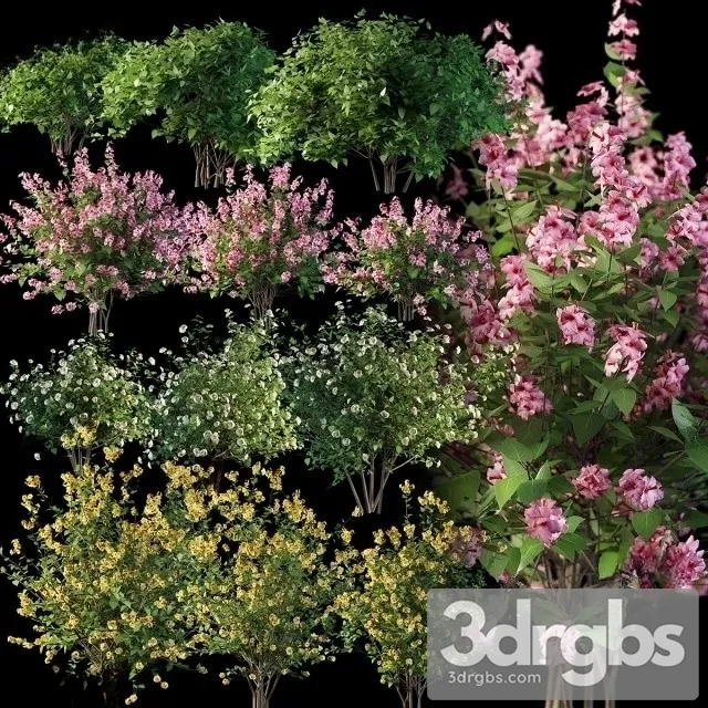 Flower Bouquet Set 3D Model Download Flower Bouquet Set 3D Model Download