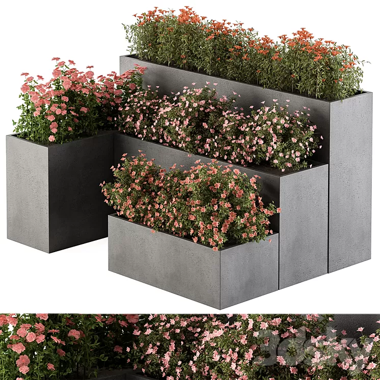 Flower Box – Outdoor Plants 436 3D Model Free Download