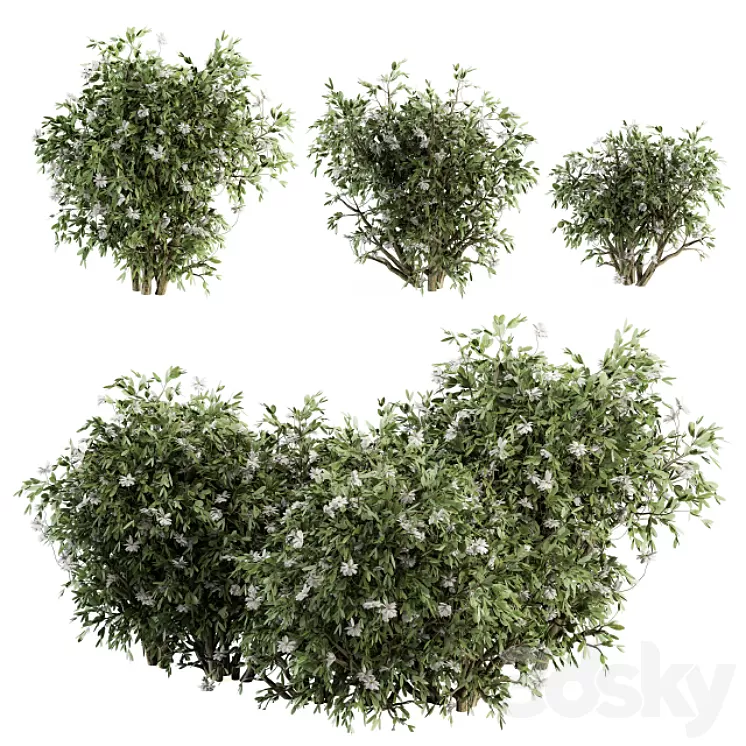 Flower Bush – Bush Set 15 3D Model