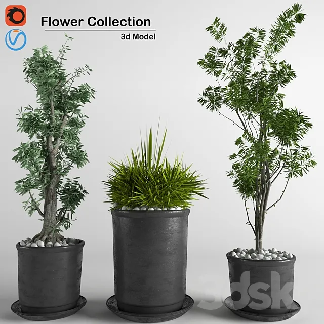 flower collection 3p 3DModel flower collection 3p 3DModel