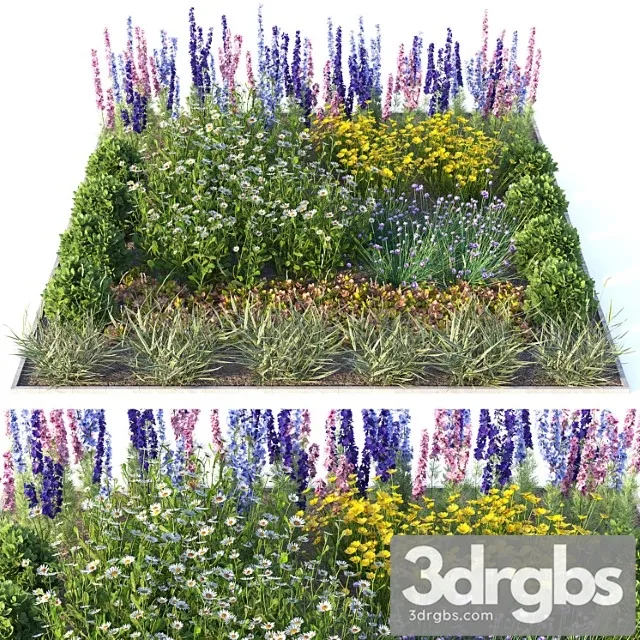 Flower garden 2 Flower garden 2