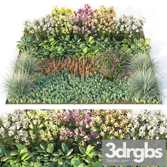 Flower garden 3 Flower garden 3