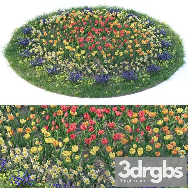 Flower garden 6 Flower garden 6