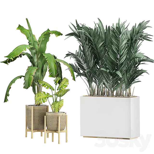 FLOWER PACK 107 3D Model